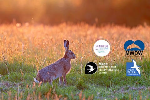 Isle of Man Wildlife Experience
